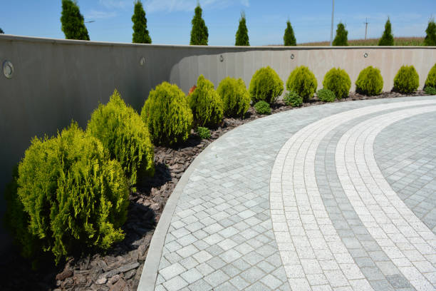 Best Professional Driveway Pavers  in Carnot Moon, PA